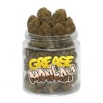 Grease Monkey Weed